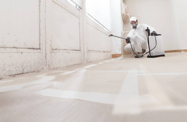 24/7 Emergency Attic Mold Removal experts in Highlands, NC