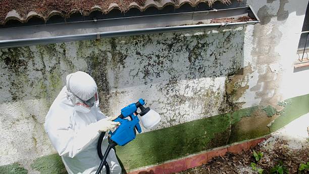 Trusted Mold Testing service in Highlands, NC - Cheap Mold Removal